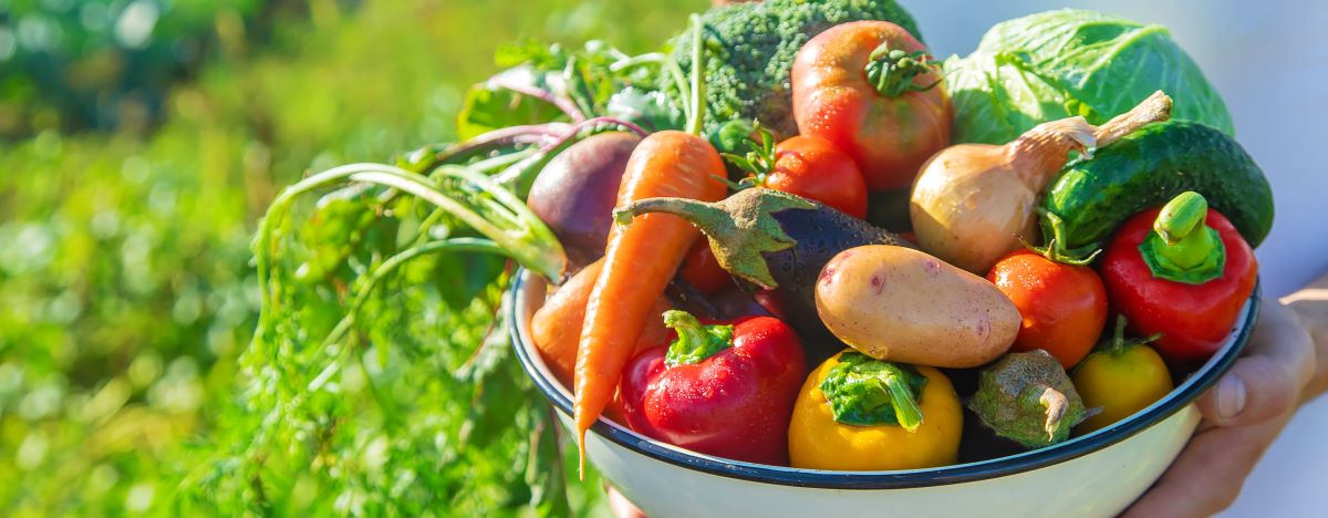 Saisonkalender Obst Gemüse | Frisch das ganze Jahr