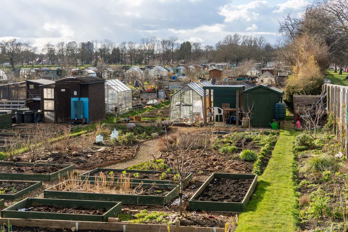 Schrebergarten in Ravensburg: Pacht, Regeln und wichtige Spi